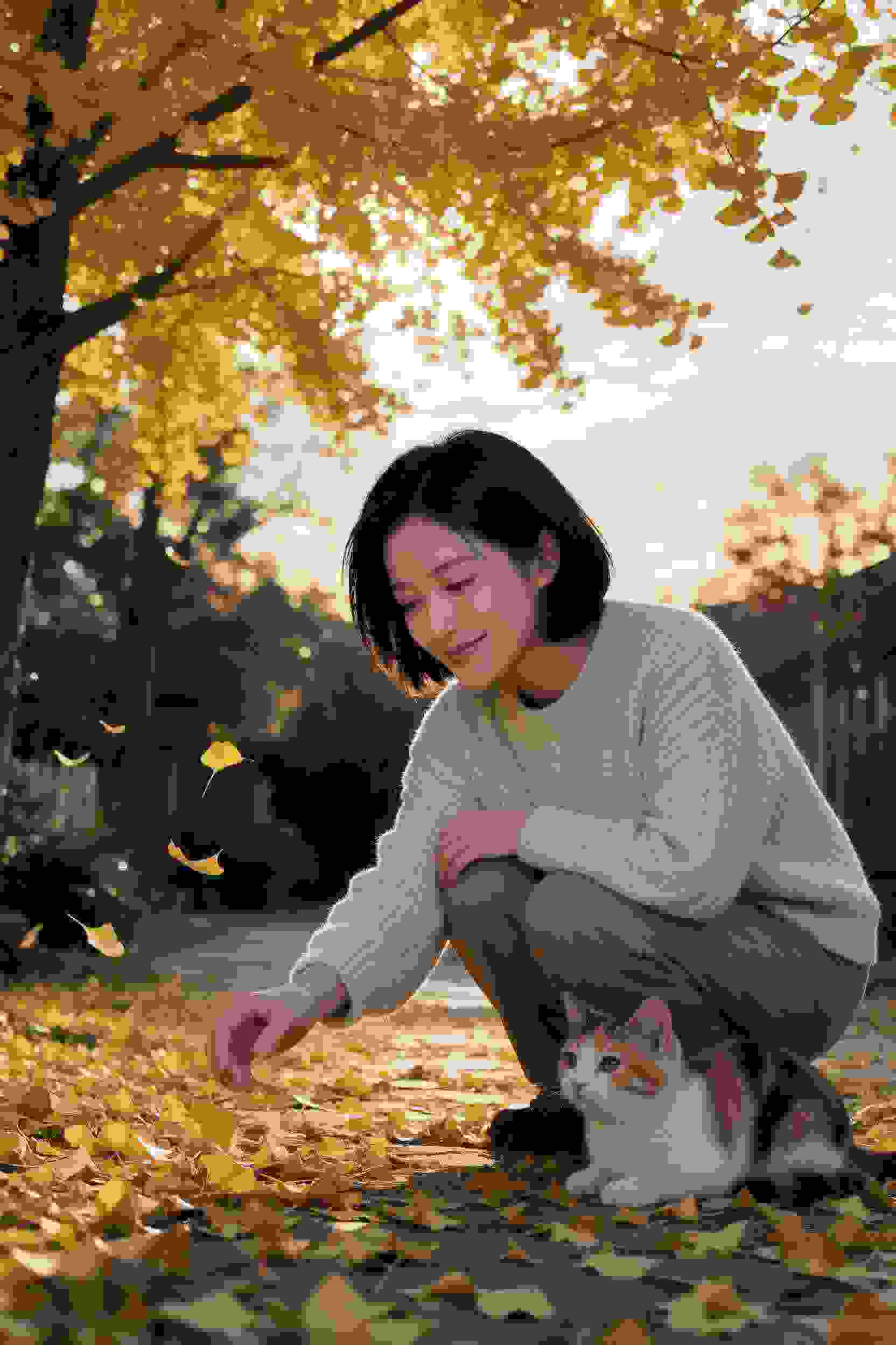 森林的秘密