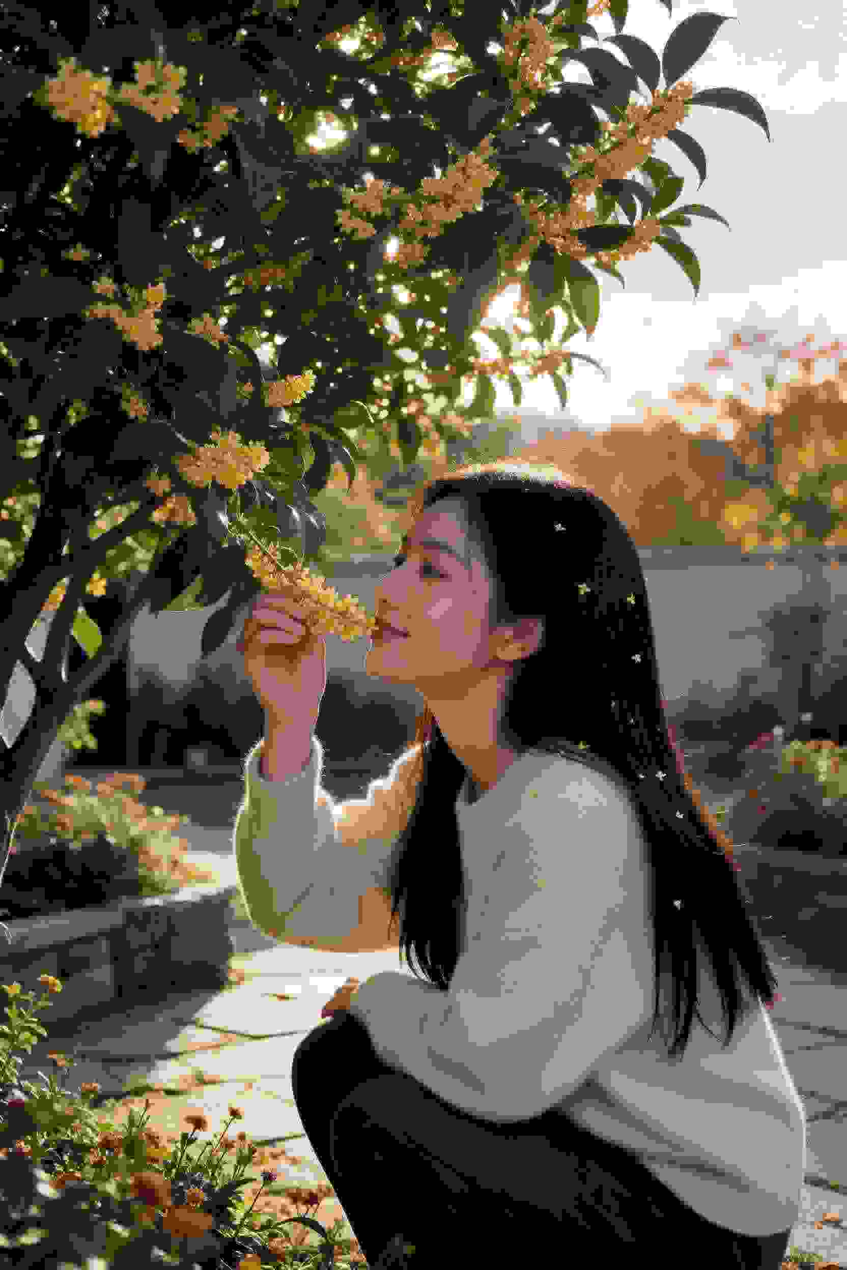 甜蜜的告白
